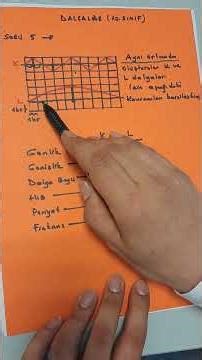 10th Grade Waves (Basic Concepts) #physics #explore #discoverme #discoverme #tyt