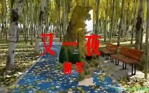 又一夜    谢军   DJ版