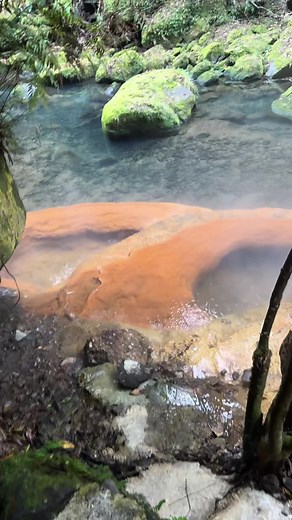 宮崎から日帰り！秘境温泉探訪