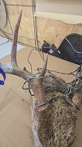 This one will be pretty cool when he's finished! | Cat's Custom Skulls, LLC