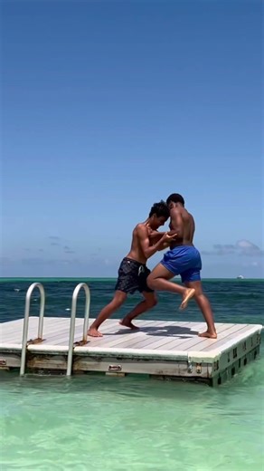 The human genome project