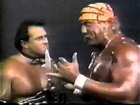 WWF Wrestling Challenge 7/23/89