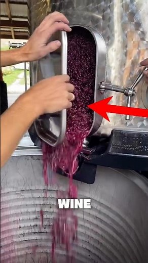 This is how wines are made🍷✨