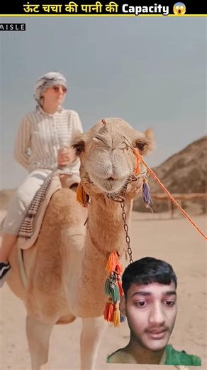 Bhai o bhai sahab 1 litre Pi leta bhai bro code iska hathon Tak chalta Pani fat Gaya