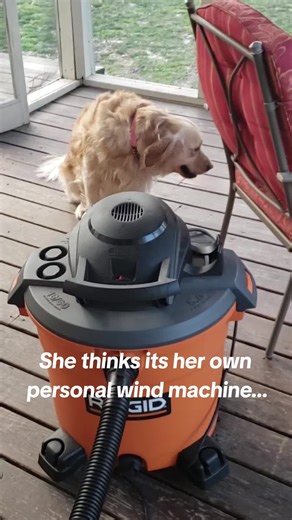 Shelby's Hilarious Wind Machine Moment