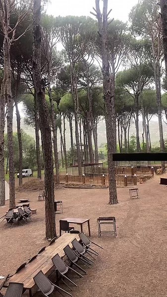 Adventures in the woods, making memories that will last a lifetime 🌲💚 #SeniorsInTheForest #NatureBonding #LastingMemories #fyp #exploring #seniors2025