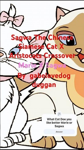 Sagwa The Chinese Siamese Cat X Aristocats Marie and Sagwa #shorts #cat #cute #sagwa #marie