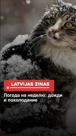 Погода на неделю: дожди и похолодание