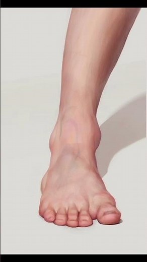 Amazing Anatomy of the Human Foot