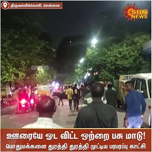 1.5M views · 8.3K reactions | #Watch | சென்னை திருவல்லிக்கேணி டாக்டர்...