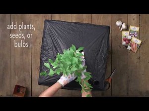 EarthBox Root & Veg Planting