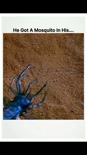 moviehubs8 on Instagram: "Title : Evolution 🧬👽 ​Director : Ivan Reitman ​Genre : Sci-Fi / Comedy ​Runtime : 1 hour 41 minutes ​Language : English ​Release date : June 8, 2001 ​Cast : David Duchovny, Orlando Jones, Seann William Scott, Julianne Moore. ​Plot summary : After a meteor crashes in the Arizona desert, a team of unconventional scientists discovers rapidly evolving alien organisms. As the creatures grow from single-celled microbes to massive monsters in just days, the team must find a 