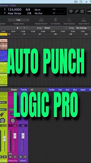 How To use AUTO PUNCH LOGIC PRO