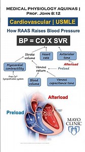 RAAS & Blood Pressure in 1 Min | Cardiovascular Physiology