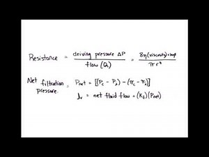 Equation Rapid Review: Resistance & Net Filtration Pressure