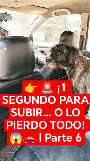 👉 🚨 ¡1 SEGUNDO PARA SUBIR… O LO PIERDO TODO! 😱🚗 | Parte 6