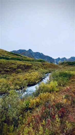 #4biddenknowledge #billycarson #billycarsonoffical | Billy Carson