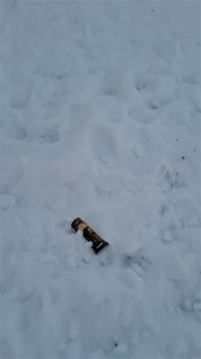 Karsikossa paukuteltiin todella paljon ja ihan hotellin vieressä. Onneksi lemmikit eivät reagoineet pelokkaasti. Sitten tulee nämä roskat. Toivottavasti kaikki pelästyneet koirat löytävät kotiin. Uuden kodin etsijä Toivo ei anna tämän kaiken häiritä, onneksi. Toivotan kaikille paukutteluista kärsineille jaksamista. | Karsikon lemmikkihotelli