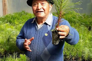 Community-led Reforestation in Totonicapan Forest