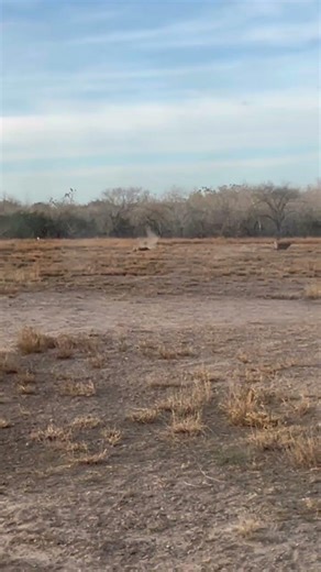 Savage 110 8.6 Blackout at 50 yrds. 342gr Gorilla Pork Shredders. 16” Faxon Barrel.