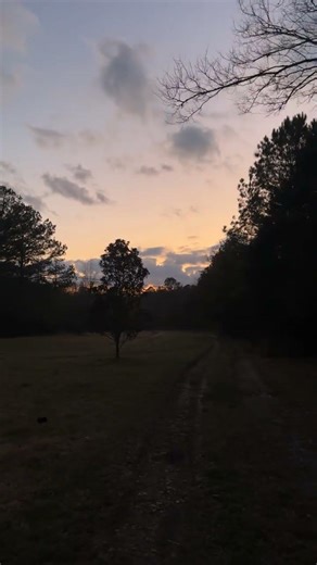 Crickets/frogs chirping at sunset