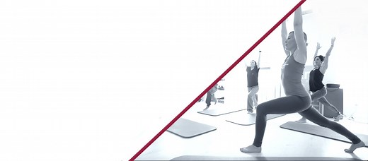 Fascial Fitness Training Certification