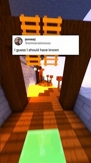 Funniest Bird Memes!