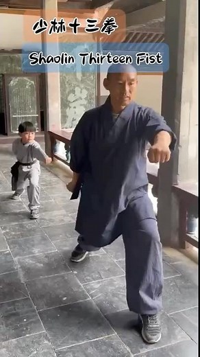 Shaolin Thirteen Fist 少林十三拳 #kungfu #shaolinkungfu #martialarts #ShaolinThirteenFist #少林寺 #少林十三拳