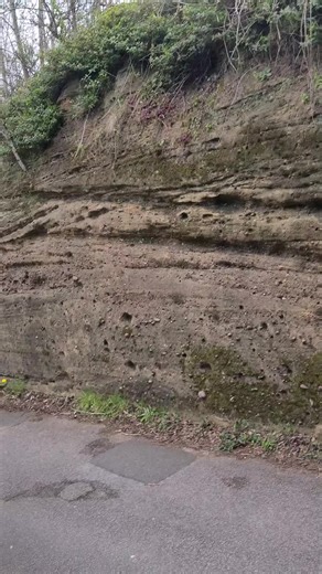 they are literally everywhere 😳 @The Bully Slayer #cave #tartaria #robinhood #fyp #hmp