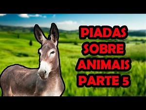 PIADAS SOBRE ANIMAIS PARTE 5 - HUMORISTA THIAGO DIAS