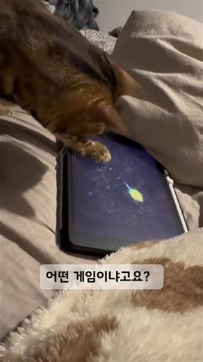 쥐 잡는 게임에 진심인 냥이🎮🐱 #고양이게임 #냥이게임 #쥐잡기게임 #게임하는고양이 #귀여운냥이