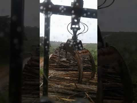 Uma técnica de carregar madeira