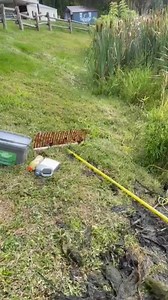 2.8K views · 20 reactions | String algae taking over your pond?  Our team can fix that! #PondCare #AlgaeControl #NaturalPond | Garden State Koi Pond & Waterfall Design Center | Facebook