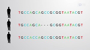 Video: Single Nucleotide Polymorphisms-SNPs
