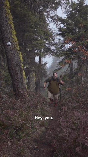 5.7K views · 56 reactions | Someone tells you to “take a hike?”Don’t get mad — get hiking!Open up your AllTrails app, find a trail nearby, and go have an incredible time outdoors.Hiking is one of the best ways to reset your mind, body, and soul.Where would YOU “take a hike?” Drop your favorite trail below!#AndyFilmsAndHikes #TakeAHike #OutdoorLife #MentalHealthMatters #PCT | andyfilmsandhikes | Facebook