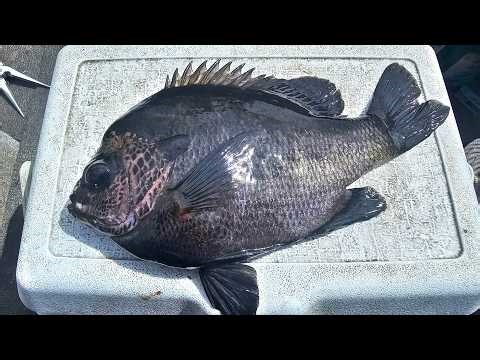 River Fishing Good Friday 2026.