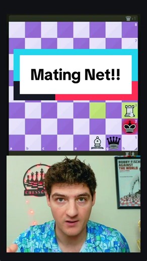 Brilliant Checkmate Net #chess #chesstok #chessgoon #checkmate #chessmaster