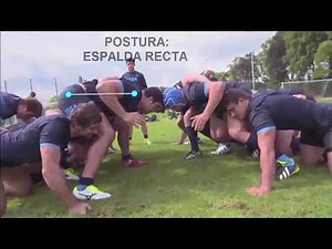 Primera Linea Caracteristicas