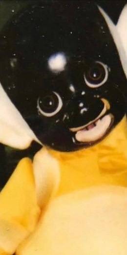 Disturbing Teletubbies Behind The Scenes! 😰😰😰