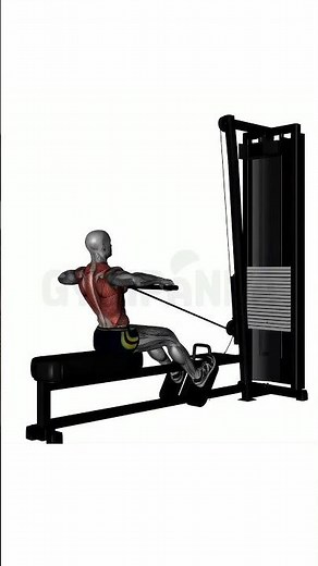 Seated Cable Rows - Perfect Form Guide #shorts