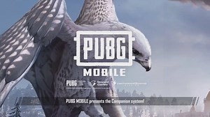 Still don't know how to fight with your cutest and loyalest companion Mr. Falcon? We have prepared a fully detailed guide video for you! Complete missions or redeem it with shards from your RP to get your Brother Mr. Falcon! http://bit.ly/2MNIn62 | PUBG MOBILE