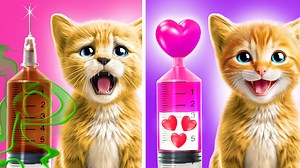 Secret hacks to make your cat happy! 5 minute cat hacks for busy owners | La La Life