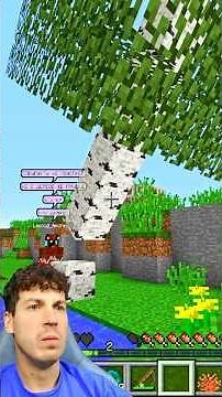 🌳 МЫ СЛУЧАЙНО НАШЛИ ТАЙНИК В ДЕРЕВЕ!