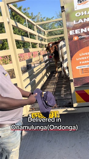 Well Delivered in Ondonga: Onamulunga Drop-Off