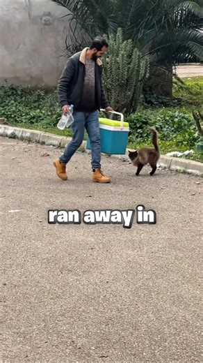 How many days it took to make cat fiends!! 😍 #shorts