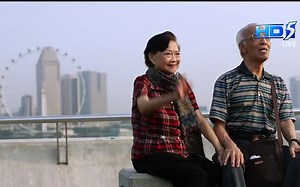 【SINGAPORE NDP】2013年新加坡国庆阅兵 National Day Parade 2013