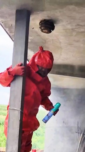 257K views · 740 reactions | #hornetnestremoval #waspremoval #hornetsnest #hornets | Hunter Wasps | Facebook