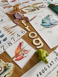 Frog Unit Study, 62 Page PDF, Amphibians, Homeschool, Learning Resource, Printable, Nature Science Study, Pdf Instant Digital Download - Etsy