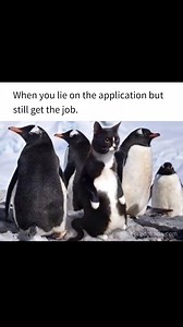 432K views · 5.8K reactions | Who's laughing now, resume police? | Lmao Mommy | Facebook