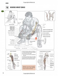 Strength Training Anatomy 3rd Edition Pdf Free Download